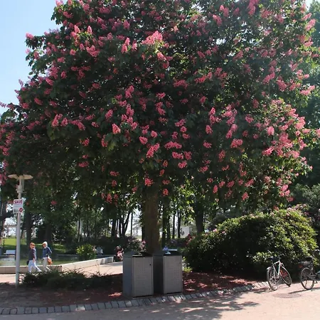 Premium Apartment-ostseepur-inklusive Parkplatz-wlan-strand-und Citynaehe